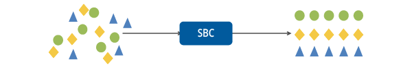 sbc-p16.png